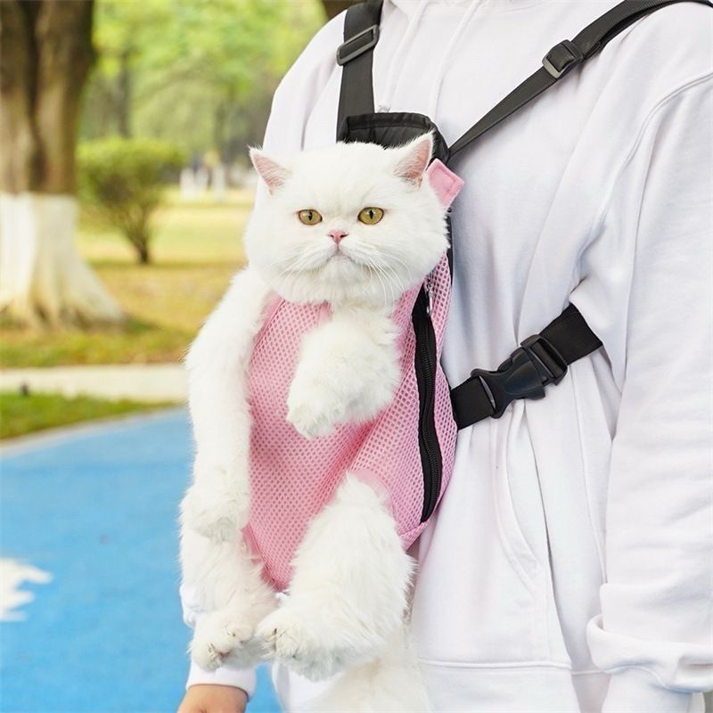 Cat Carry Bag Pink